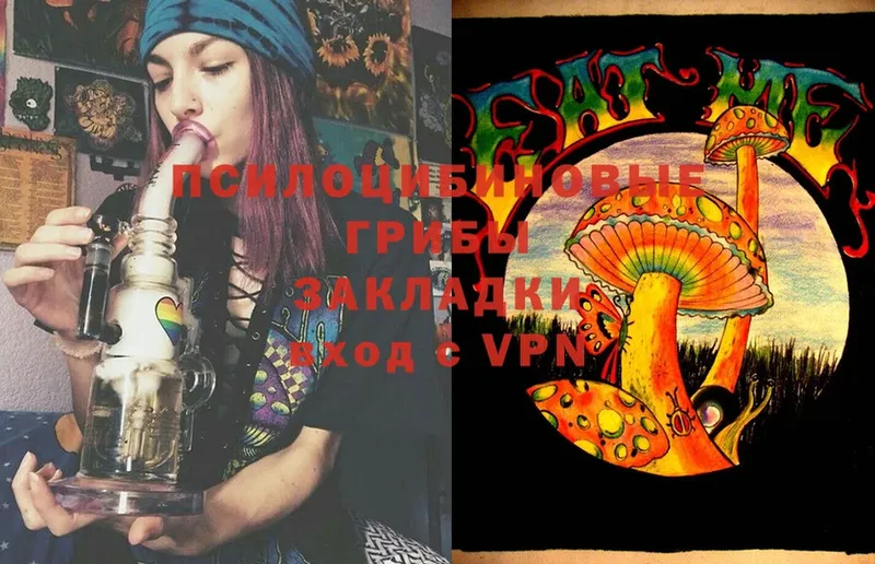 Галлюциногенные грибы MAGIC MUSHROOMS  где можно купить   Феодосия 